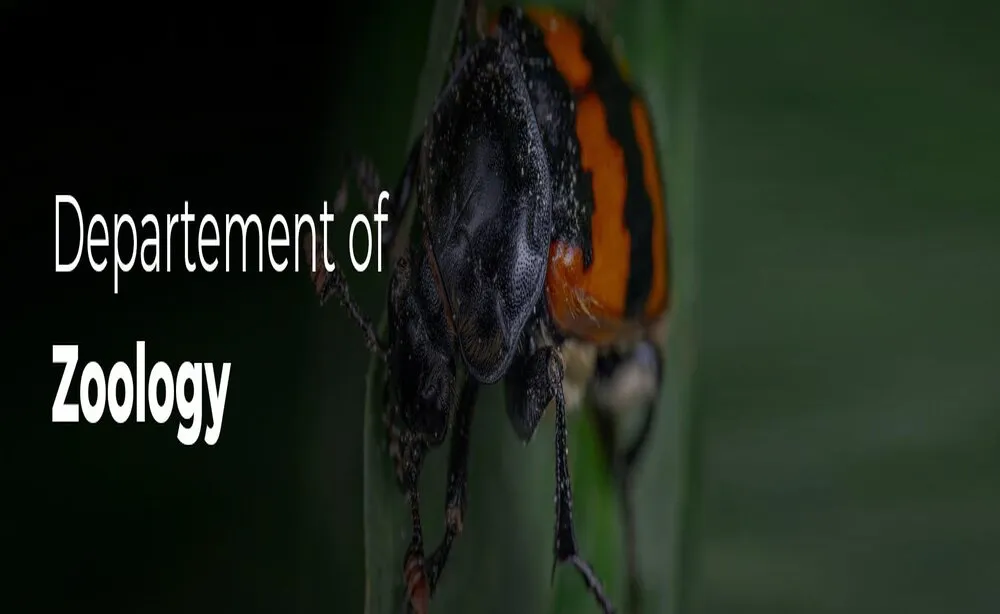 Department Of Zoology