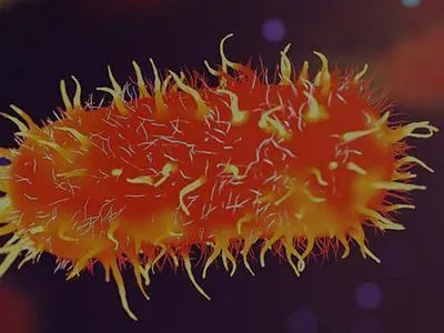 Department of Biotechnology & Microbiology