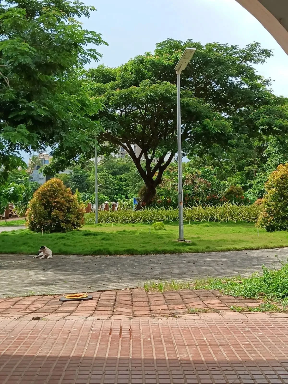 Thavakkara Campus