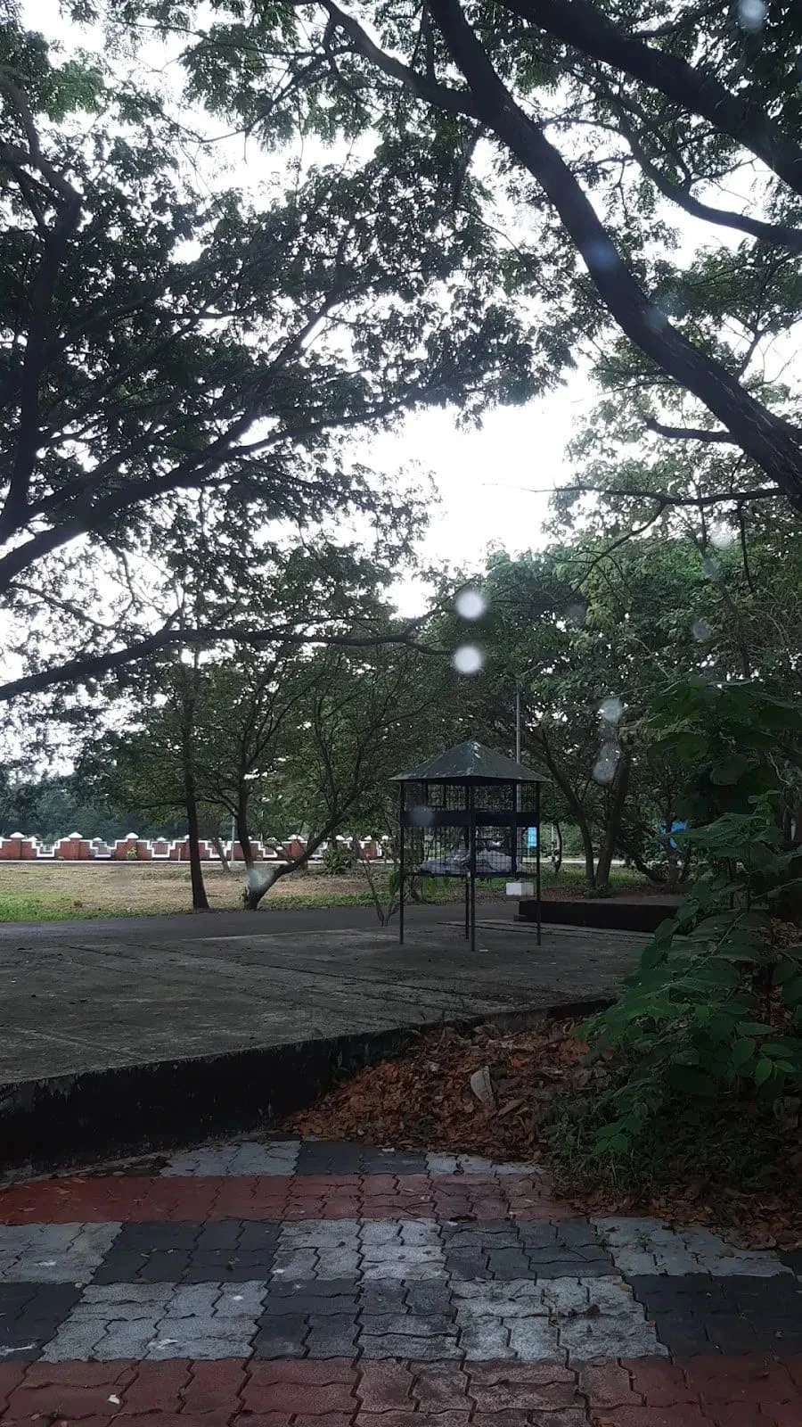 Thavakkara Campus