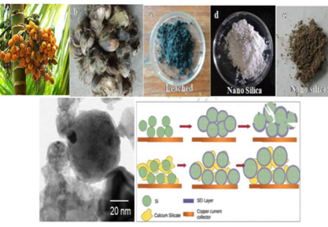 An eco -friendly approach of designing arecanut husk ash into high performance Li ion battery anodes